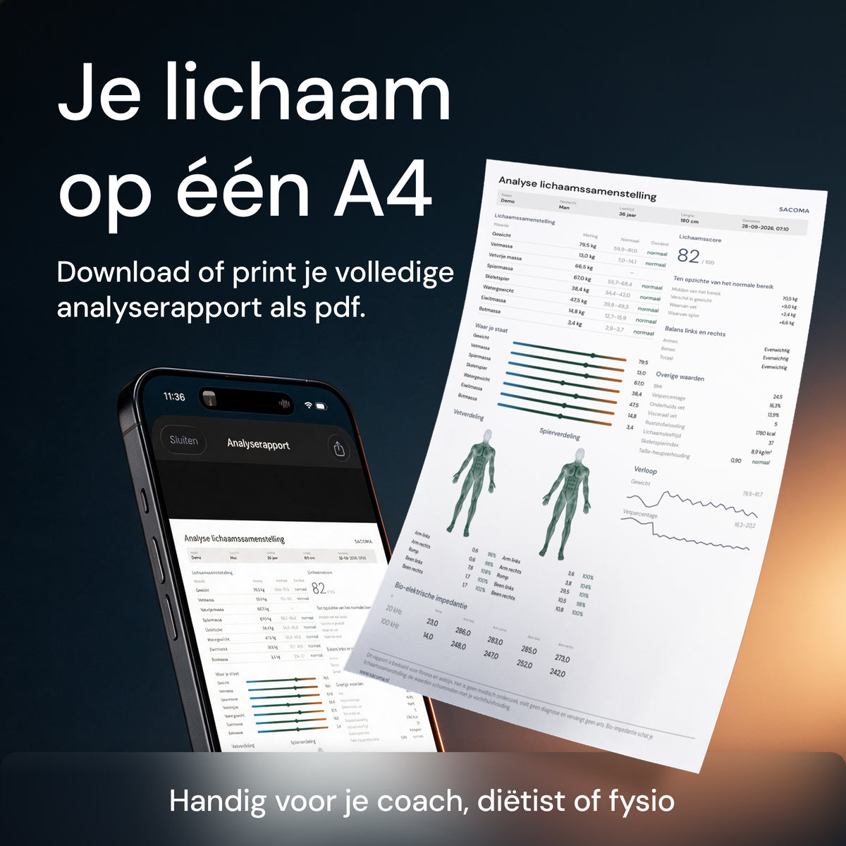 Volledig analyserapport van de lichaamssamenstelling als pdf, om te downloaden of te printen